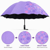 colour Changing with Water Magic cute Umbrella